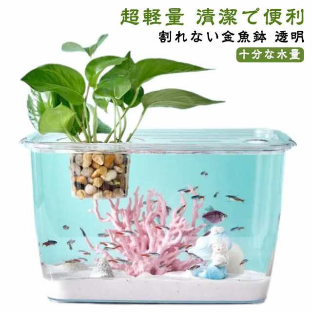 熱帯魚 ： 通販・価格比較