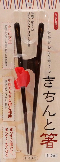 他サイト： イシダ 箸の持ち方矯正 きちんと箸 おとな用 21cm 右利き[定形外郵便、送料無料、代引不可]の商品画像