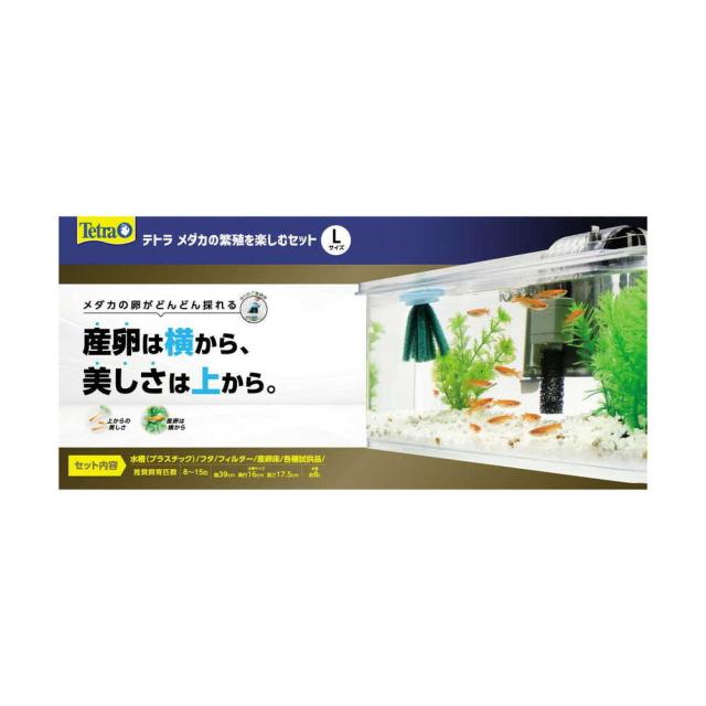 他サイト： スペクトラムブランズジャパン テトラ メダカの繁殖を楽しむセット L 1セット  の商品画像