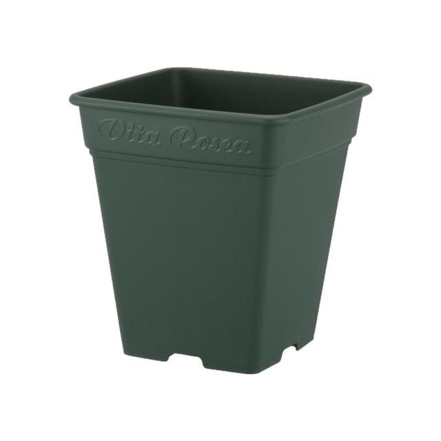 他サイト： アップルウェアー ロゼアスクエア グリーン   の商品画像