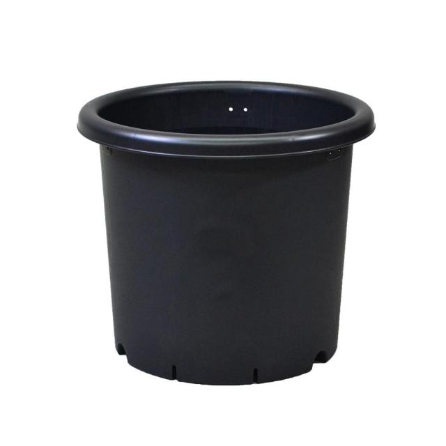 他サイト： アップルウェアー 菊鉢 ブラック   の商品画像