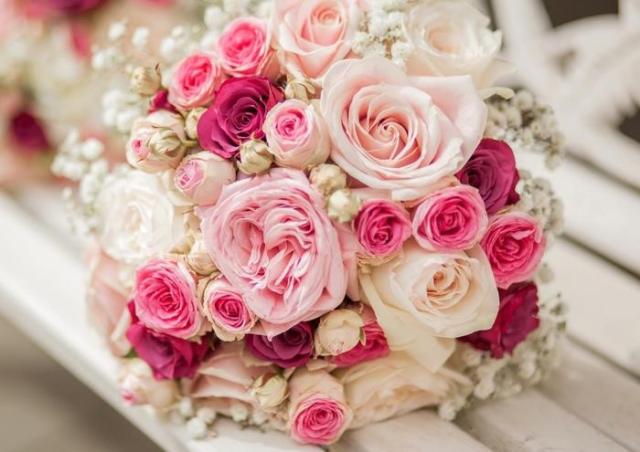 ユニークiphone ピンク バラ 壁紙 すべての美しい花の画像