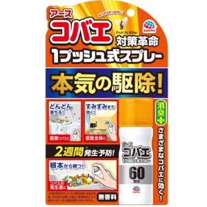 他サイト： アース製薬 おすだけコバエアーススプレー60回分 13.2mlの商品画像