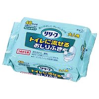 他サイト： 花王 リリーフ 流せるおしりふき 詰替 介護用 24枚 (48カット)の商品画像