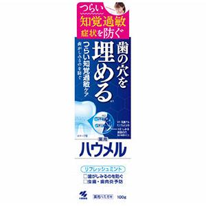 他サイト： 小林製薬 ハウメル 100g 歯磨き粉の商品画像