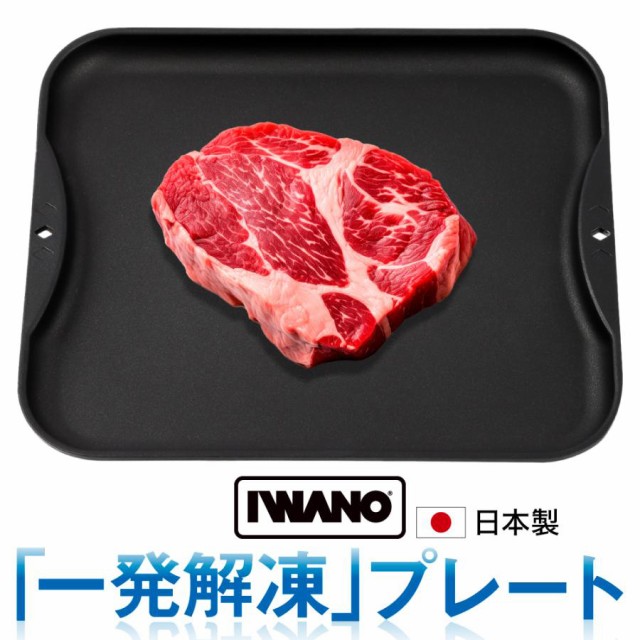 他サイト： IWANO(イワノ) AWKSD(IWANO) 一発解凍プレート(解凍皿)(ブラック)IWANO[AWKSDIWANO] 返品種の商品画像