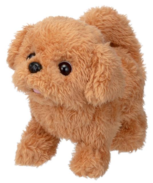 他サイト： イワヤ ピッコリーネ トイプードルぬいぐるみ  返品種別Bの商品画像