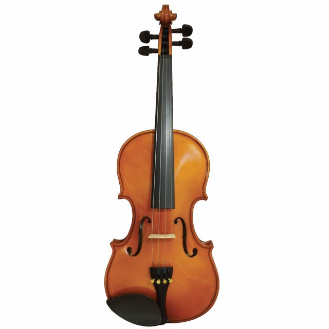 他サイト： ステンター SV-120-1/2 キッズ向けバイオリン(1/2サイズ)STENTOR[SV12012] 返品種別Aの商品画像