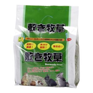他サイト： 三晃商会 敷き牧草 (バミューダグラス) 約1kg 返品種別Aの商品画像