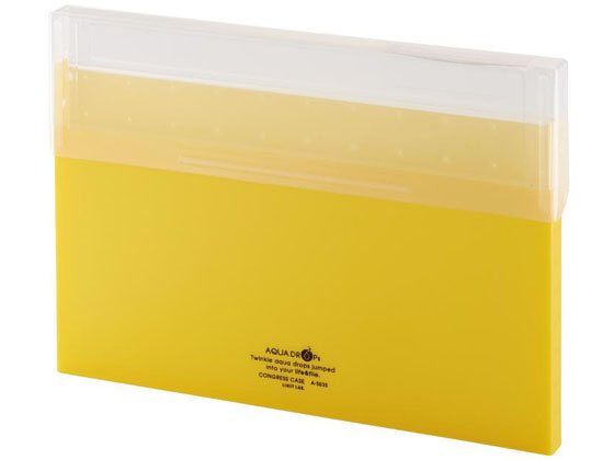 他サイト： AQUA DROPs コングレスケース A4 150枚収容 黄 リヒトラブ A5035-5の商品画像
