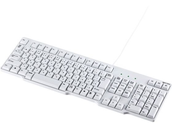 他サイト： USBキーボード ホワイト サンワサプライ SKB-L1UNの商品画像
