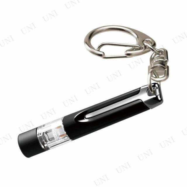 他サイト： カーメイト 静電気除去 キーホルダー レジテック シルバーメッキ DZ461 【 カー用品 車載グッズ 内装用品 カーアクセサリの商品画像