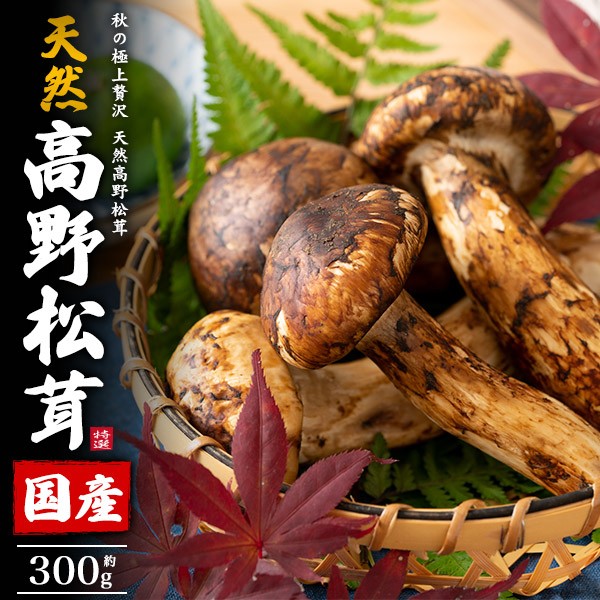 松茸 2024 中国産 強う 【中つぼみ】1kg 秋の味覚 鮮度がよく 香り豊か