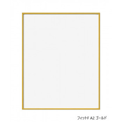 他サイト： A.P.J. フィットF A2 ゴールド 0020169358 |b03の商品画像