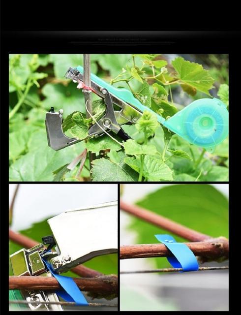 50 Off テープナー テープツール 園芸用 誘引 結束機 結束器 荷締機 ホッチキス 農園 家庭菜園 果樹用 きゅうり トマト ぶどう なす キウイ など 人気ブランド Www Iacymperu Org