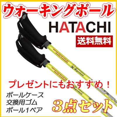 数量限定 Hatachi フリーアルミdフィット 3点セット ケース 先ゴム ウォーキングポール ステッキ ポール 高齢者 介護 転倒防止 ウォーキング 定番人気 Centrodeladultomayor Com Uy