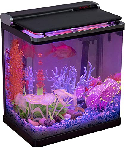 冬セール開催中 Hygger 水槽セット 観賞魚飼育セット アクアリウムセット グラス 15l タッチスクリーン リアルタイム水温表示 Ledライト 四つ照明モード 冬セール開催中 ペット ペットグッズ 熱帯魚 アクアリウム用品 Www2 Unicap Br