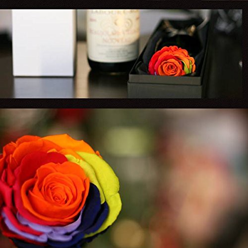 安心の定価販売 Makefuture Rainbow Rose プリザーブドフラワー 花 彼女 一輪 バラ 虹色 プロポーズ プレゼント アモローサ 花言葉 奇跡 記念日 誕生日 お洒落無限大