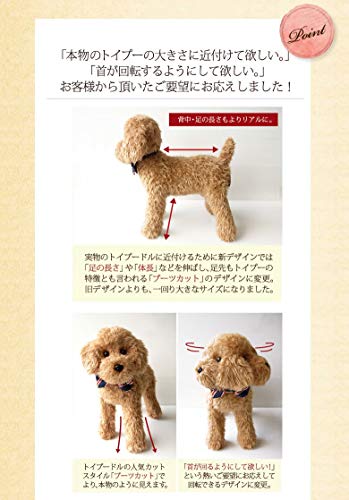 送料込み。トイプードルレッドちゃん。ニコニコ伏せポーズ♡ 送料込み。トイプードルレッドちゃん。ニコニコ伏せポーズ