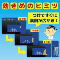 虫コナーズ ベランダ用 虫よけプレート 150日用 無臭 1コ入 虫除け 吊り下げタイプ の通販はau Pay マーケット 爽快ドラッグ 商品ロットナンバー