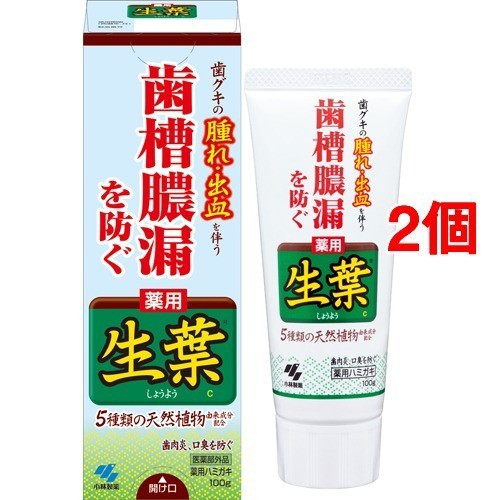 小林製薬 薬用歯みがき 生葉 100g 2コセット 歯周病 知覚過敏用