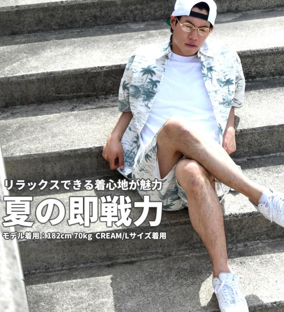 セットアップ メンズ 夏 大きいサイズ ブランド 半袖 アロハシャツ 綿
