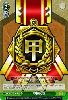 ヴァイスシュヴァルツ 甲種勲章 艦隊これくしょん 艦これ 到着 欧州