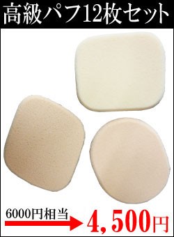 ★純正品/送料無料★高級パフセット+スック ナチュラルカバーリングルースパウダー (17g) ★純正品/送料無料★高級パフセット+スック ナチュラルカバーリングルースパウダー (17g)
