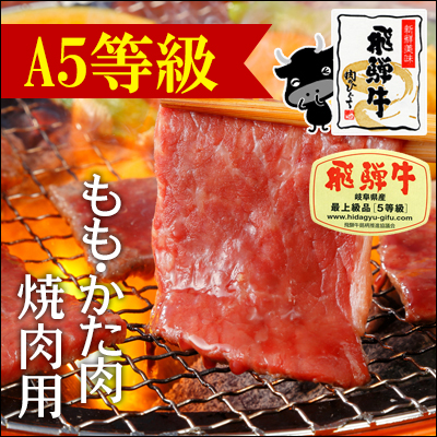 他店圧倒価格 最安値に挑戦 冷凍 ａ５等級飛騨牛もも かた肉焼肉用 ５００ｇ１パック 肉 飛騨牛 牛肉 ブランド牛 黒毛和牛 バーベキュー q おもてなし 焼き肉 人気第1位 Btygravelmart Ca