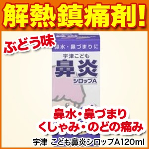 鼻炎薬 宇津 こども鼻炎シロップａ１２０ｍｌ 指定第2類医薬品 鼻炎 鼻水 鼻づまり シロップ 宇津救命丸 海外発送対応 の通販はau Pay マーケット 松林堂薬局 アクセット 商品ロットナンバー