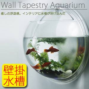 送料無料 Sサイズ 壁に掛けるという新発想壁掛け半球状円球インテリア水槽壁掛け水族館アクアテラリウム 納期 約2 3週間 の通販はau Wowma ワウマ 株式会社candy 商品ロットナンバー