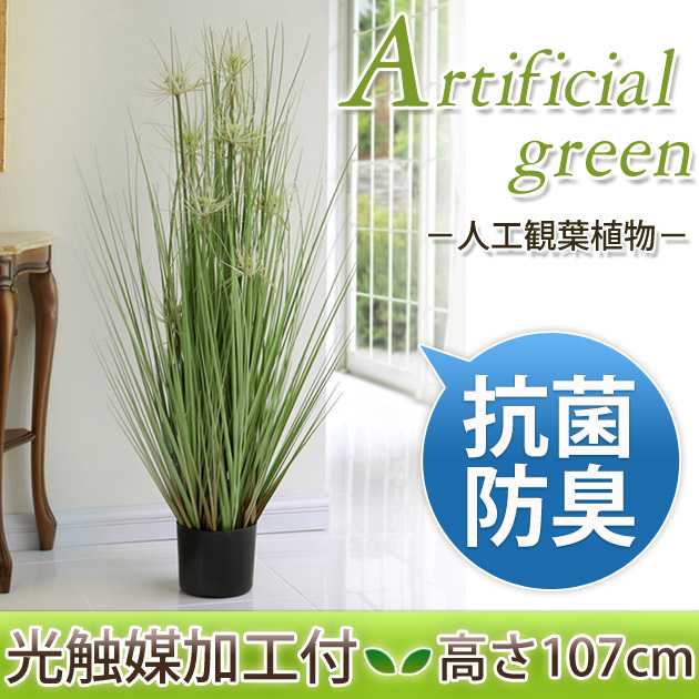 売り尽 光触媒加工付き人工観葉植物 サニーグラス 高さ107cmbr消臭 グリーン 観葉植物 人工 植物 造花 鉢 土 水やり不要 国産 Carlavista Com
