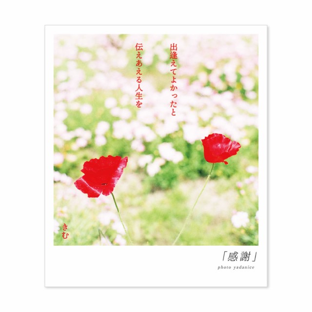 Ruten Japan Poet Kimu Bouquet Of Words Postcard Thank You Quotations Quotes Poet Words Words Dreams Courage Genki Graduation Departure Thanks Teacher Teacher Message 詩人きむ 言葉の花束ポストカード 感謝 名言 格言 詩人