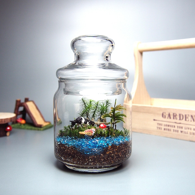 超高品質で人気の 苔テラリウム 手作りキット 一式 ガラスポット 観葉植物 ミニ テラリウム 苔 コケ 苔リウム 園芸 ガーデニング インテリア 苔盆栽 癒し Moss 初心者 限定でセール価格 Kingscages Com