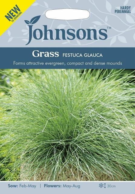 進口種子 Johnsons種子草flayuca Glauca玻璃festuca Grauka Johnsons種子 輸入種子 Johnsons Seeds Grass Festuca Glauca グラス フェストゥカ グラウカジョンソンズシード 日本露天購物 Ruten Japan