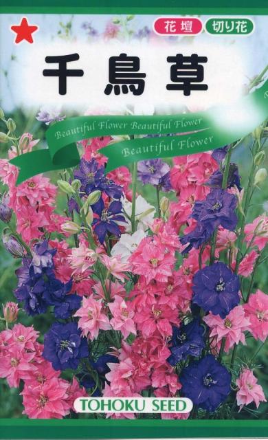 種子 Chikata草的種子 種子 千鳥草トーホクのタネ 日本露天購物 Ruten Japan
