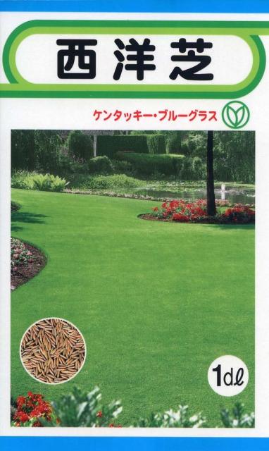 種子 西加州肯塔基藍玻璃1dl Tohoku種子 種子 西洋芝ケンタッキー ブルーグラス1dl トーホクのタネ 日本露天購物 Ruten Japan