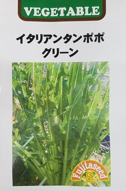 種子 意大利坦波綠色藤膠種子種子 種子 イタリアンタンポポ グリーン 藤田種子のタネ 日本露天購物 Ruten Japan