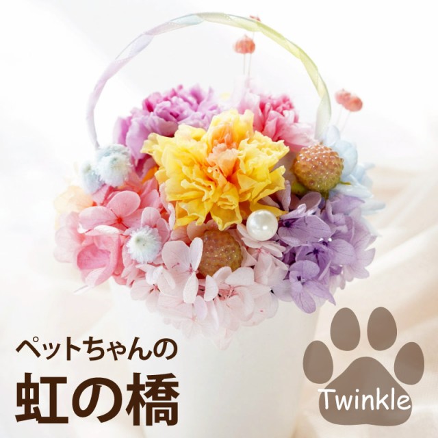 全国販売店 即日発送 16時〆切 ペット お供え 花 ペットちゃんの 虹の橋 Twinkle トゥインクル 送料無料 プリザーブドフラワー お仏壇 レインボー お悔み ペットロス 犬 猫 うさぎ フェレット 写真 ペットお供え ペット供養花 アレンジ 花 店舗限定先着特典