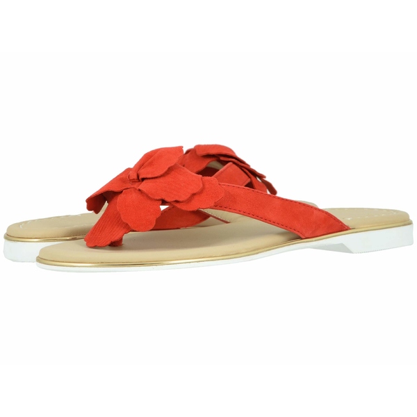 保証書付 ジョンストンアンドマーフィー レディース サンダル シューズ Reanne Red Italian Suede 高質で安価 Cerqualandi It