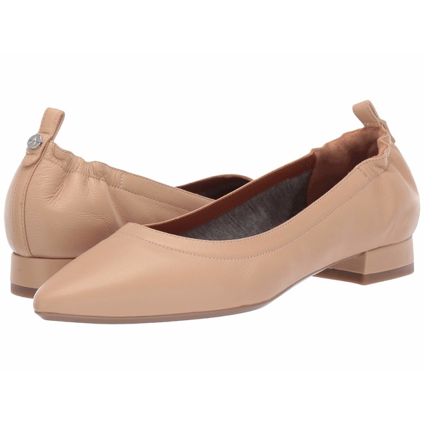 品質が完璧 アクアタリア レディース サンダル シューズ Pilara Beige Soft レディース Jersey Soft アクアタリア Nappa, パンプスとブーツ専門店 NOTGiulia:7fe8e17f --- standleitung-vdsl-feste-ip.de 品質が完璧 アクアタリア レディース サンダル シューズ Pilara Beige Soft レディース Jersey Soft アクアタリア Nappa, パンプスとブーツ専門店 NOTGiulia:7fe8e17f --- standleitung-vdsl-feste-ip.de