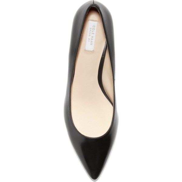 vesta skimmer pump