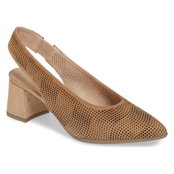 春夏新作モデル ヒスパニタス レディース Pump パンプス シューズ Hispanitas Rhonda Slingback Slingback Rhonda Pump (Women) Almond Suede, イタリアワインのいのししや:5f904f46 --- kzdic.de 春夏新作モデル ヒスパニタス レディース Pump パンプス シューズ Hispanitas Rhonda Slingback Slingback Rhonda Pump (Women) Almond Suede, イタリアワインのいのししや:5f904f46 --- kzdic.de