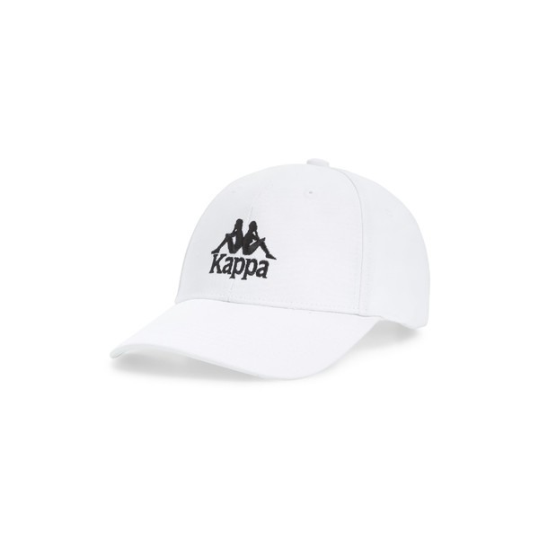 patagonia label trad cap