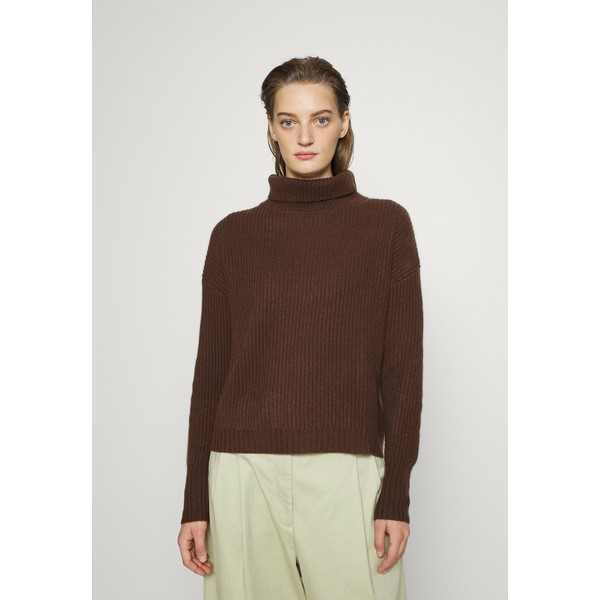 エフ ティ シー カシミア レディース パーカー・スウェットシャツ アウター HIGHNECK - Jumper - bitter brown bitter brown