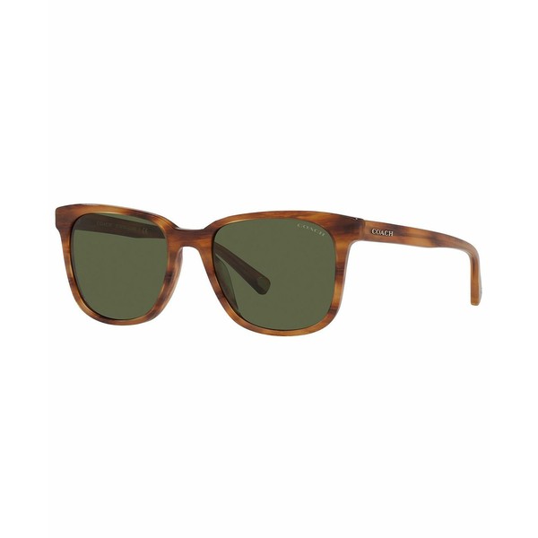 コーチ レディース サングラス＆アイウェア アクセサリー Sunglasses, HC8313U 54 C2095 AMBER HORN/DARK GREEN SOLID