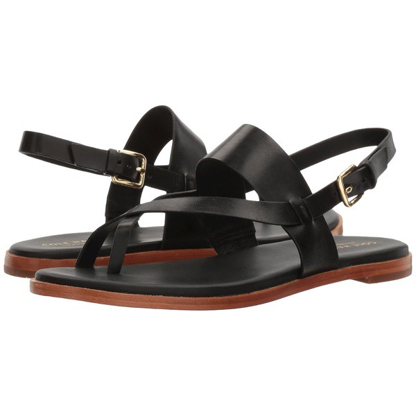 【お買得】 コールハーン レディース サンダル サンダル シューズ Sandal Anica Thong レディース Sandal Black, アロミックスタイル公式ショップ:f35843f8 --- kulturbund-sachsen-anhalt.de 【お買得】 コールハーン レディース サンダル サンダル シューズ Sandal Anica Thong レディース Sandal Black, アロミックスタイル公式ショップ:f35843f8 --- kulturbund-sachsen-anhalt.de