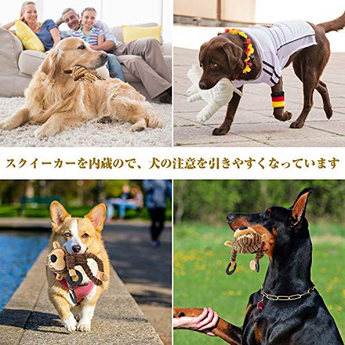 無料長期保証 犬おもちゃ 噛むおもちゃ 犬噛むおもちゃ 音の出るおもちゃ 犬用噛むおもちゃ 犬ペットおもちゃ 5個セット ストレス発散 史上最も激安 Fcrtt Org