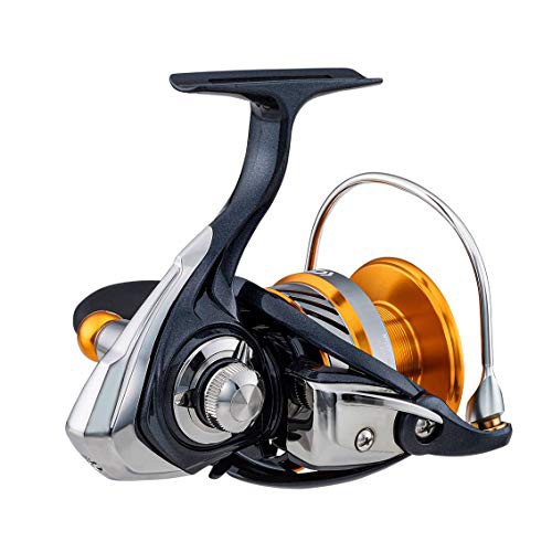 安い新作♧ ダイワ(DAIWA) マーケット - 還元祭対象店 蒲田FACTORY au PAY マーケット店|商品ロットナンバー:505651650 スピニングリール 20 レブロス LT5000D-CH (2020モデル)の通販はau PAY 爆買い定番