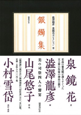 高級感 全集 双書 泉鏡花 銀燭集 澁澤龍彦泉鏡花セレクション 送料無料 人気no 1 本体 Bayounyc Com